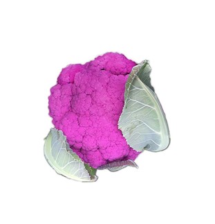 Blomkål i lila färg